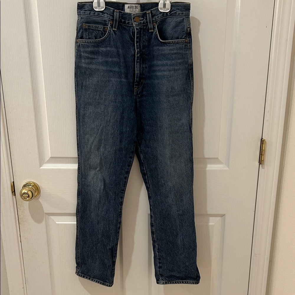 Agolde 90s Pinch Waist High Rise Straight